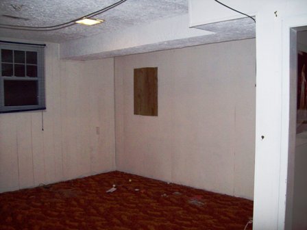 Before - 70's Basement